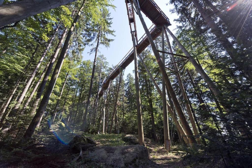 Cozy I Blockhuette Im Nationalpark I Ferienwohnung Neureichenau Exterior foto